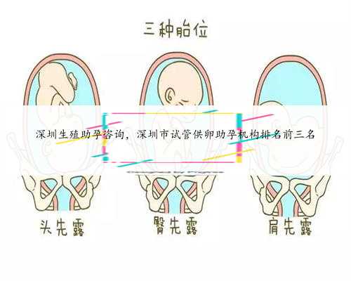 深圳生殖助孕咨询，深圳市试管供卵助孕机构排名前三名